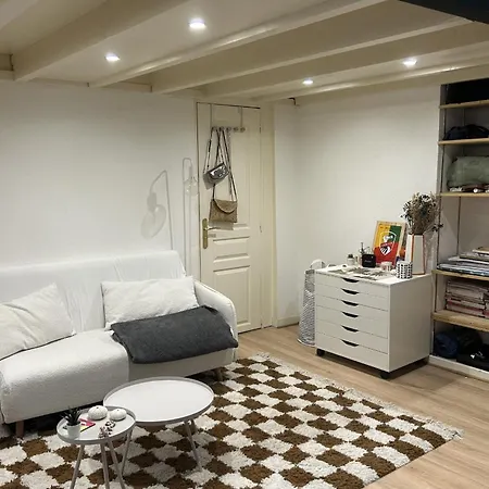 Comfortable 40 M Cocoon Apartment *